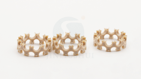 Peek Bearing cage 1201